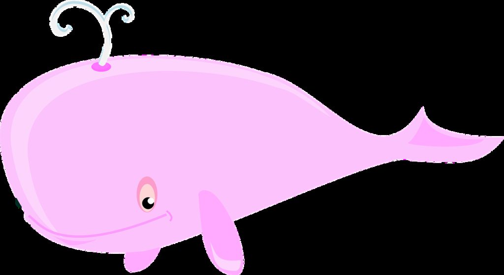whale, pink, sea