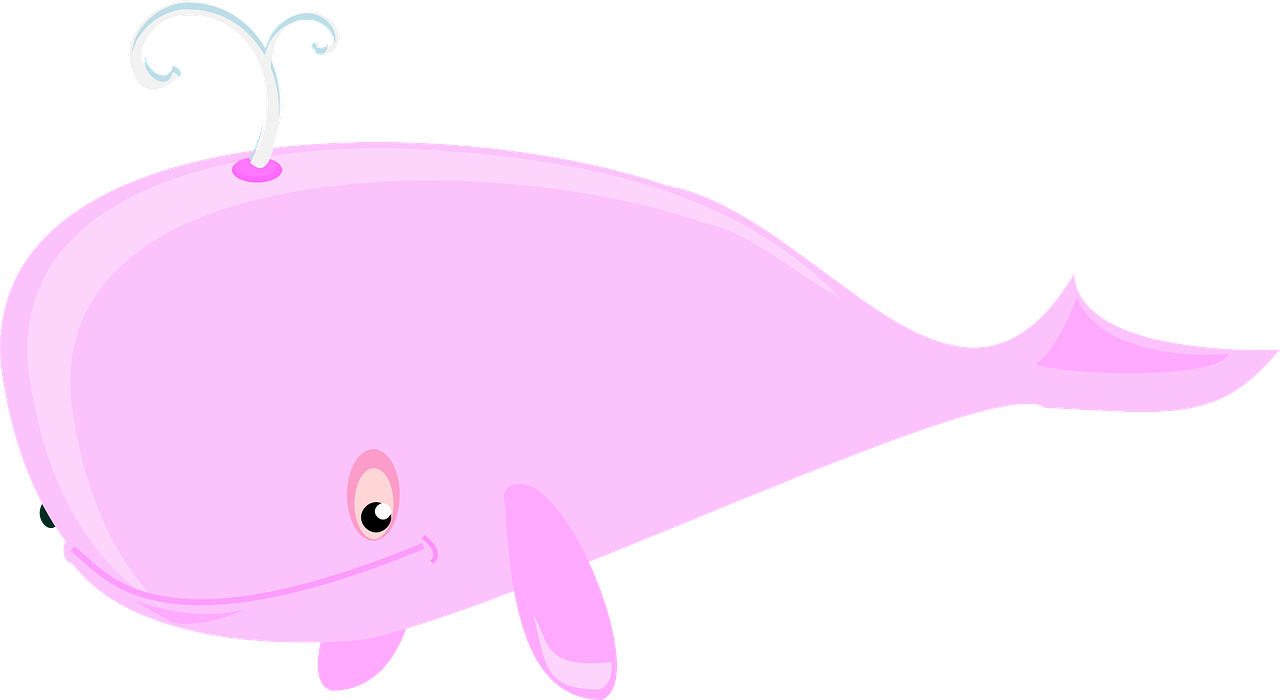 whale, pink, sea