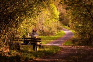 hiking, wanderer, away