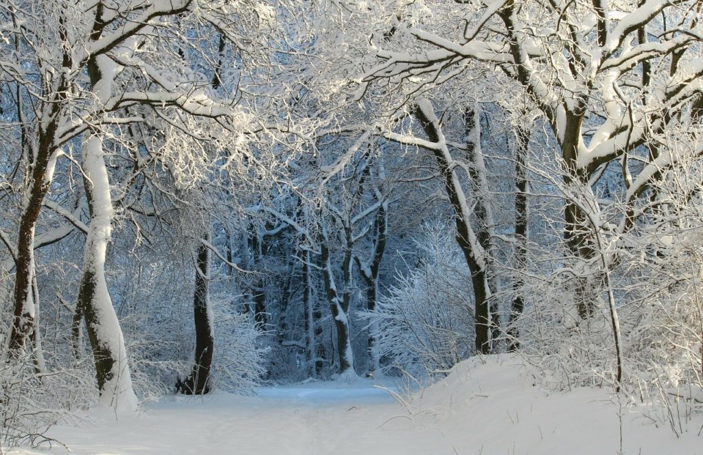 winter, wintry, snow magic