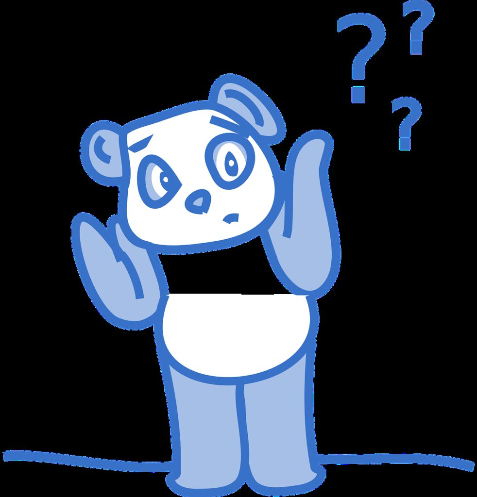 panda, confused, questions