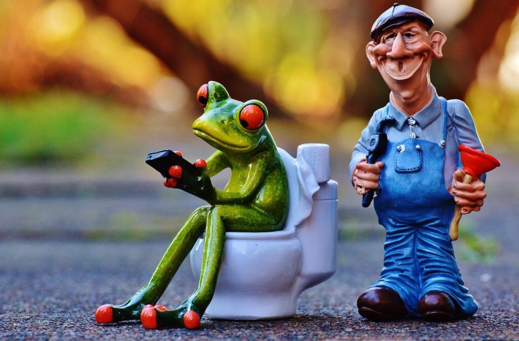 plumber, frog, loo
