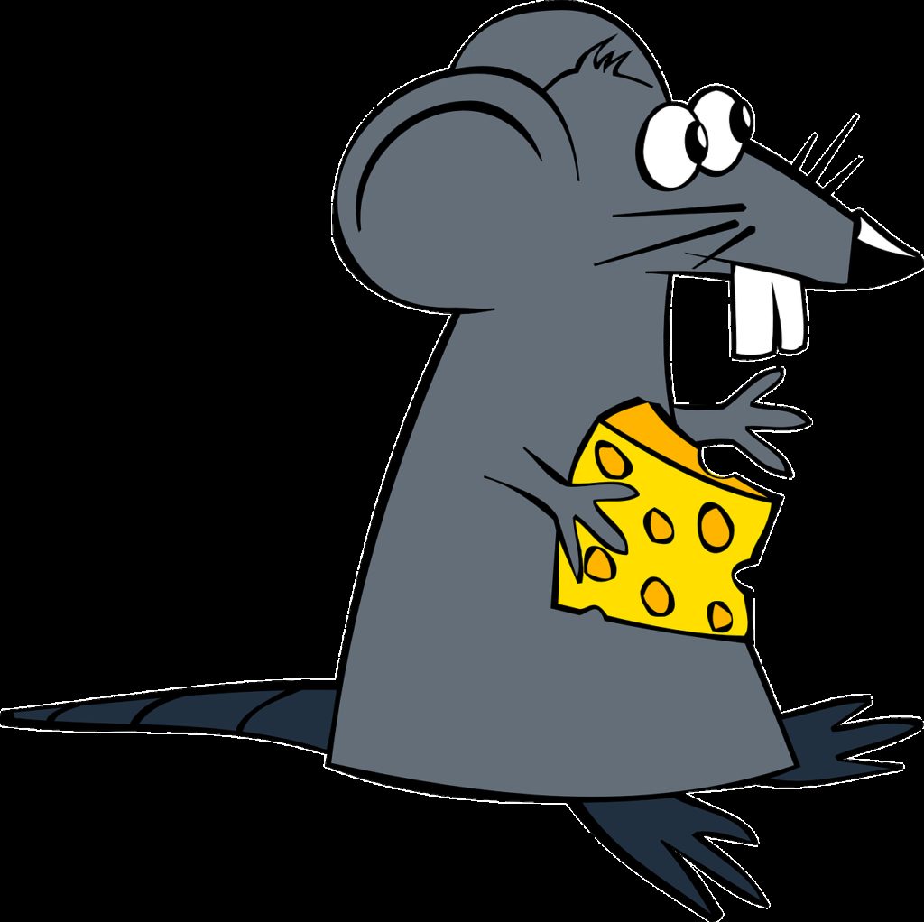 rat, mouse, cheese