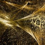 midlife shine